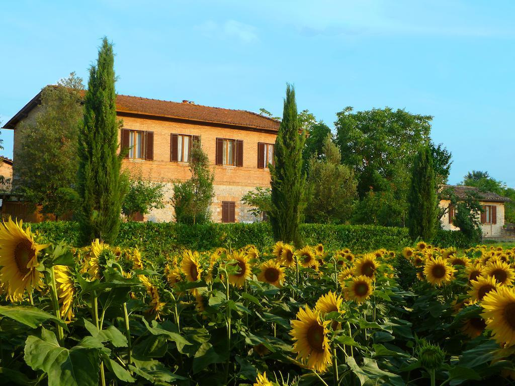 Agriturismo Santa Giuditta Sovicille Ngoại thất bức ảnh